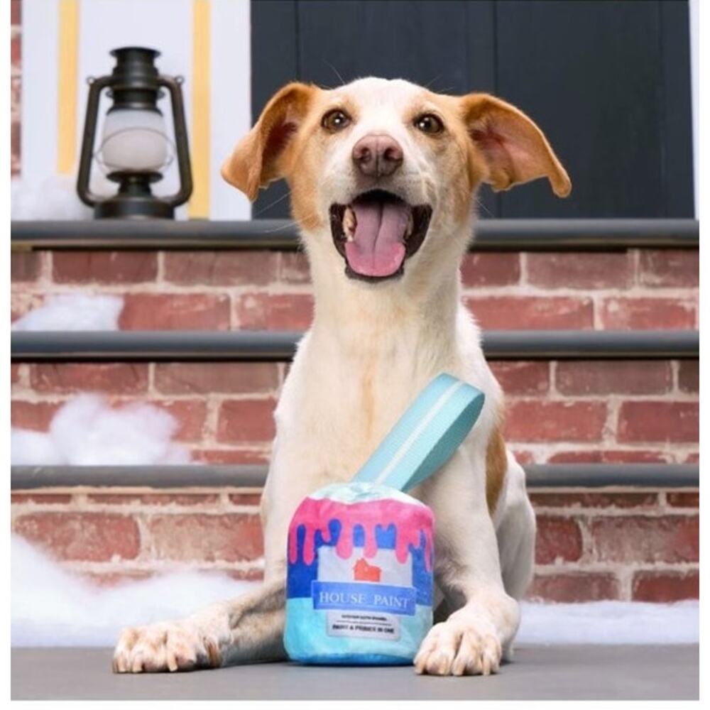 BARK Super‎ Chewer Home Alone Dog Toy Paint Can Treat Dispensing Tug Thrash Toss